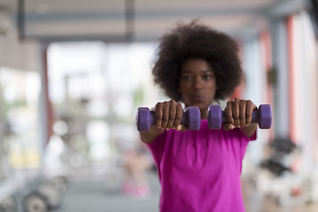 Image showing woman working out in a crossfit gym with dumbbells