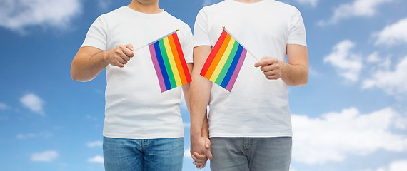 Image showing male couple with gay pride flags holding hands