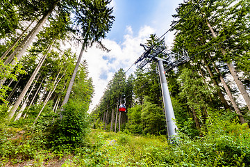 Image showing Ski lift in the summer in a green forest
