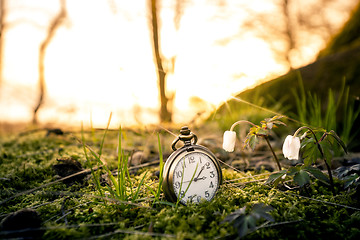 Image showing Antique pocket watch buried in moss