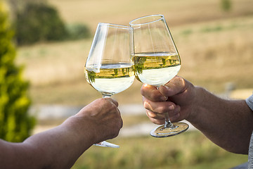 Image showing Cheers with white wine a garden