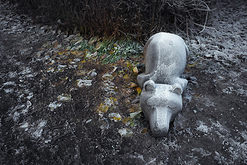 Image showing Homeless bear sleeping in the cold frost all alone