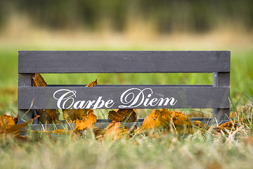 Image showing Wooden box with the phrase Carpe Diem