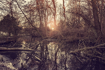 Image showing Sunrise by a forest lake in the winter