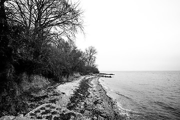 Image showing Black and white photo of a coast in the fall
