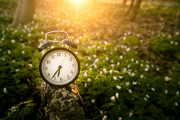 Image showing Alarm clock in the sunrise over a forest