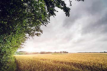 Image showing Countryside sunset on a field landscape