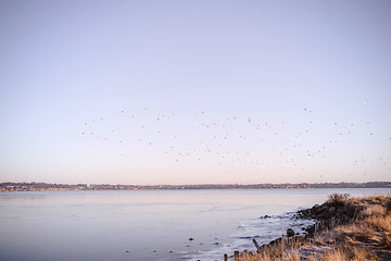 Image showing Frozen lake in the sunrise