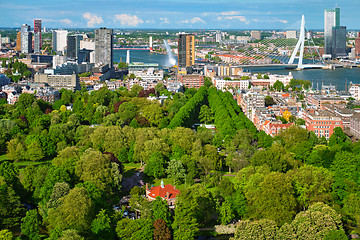 Image showing View of Rotterdam city and the Erasmus bridge 