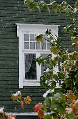 Image showing Autumn window