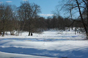 Image showing Winterday