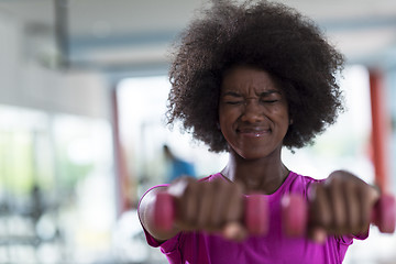 Image showing woman working out in a crossfit gym with dumbbells