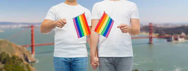 Image showing male couple with gay pride rainbow flags