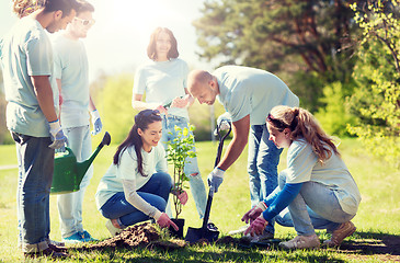 Image showing group of volunteers planting tree in park