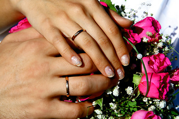 Image showing Hands of bride and  bridegroom