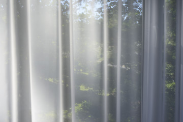 Image showing the garden in the window behind the transparent curtains