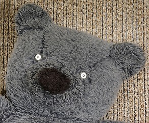 Image showing close-up of old  teddy bear face