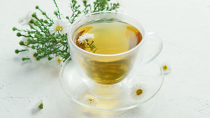Image showing Glass cup of herbal tea