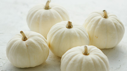 Image showing White small pumpkins 