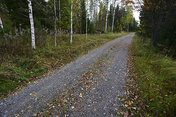 Image showing dirt road in the autumn forest 