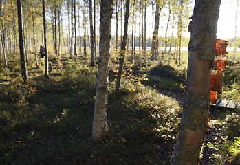 Image showing autumn forest in Finland