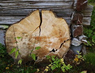 Image showing wooden circle with a split cut 