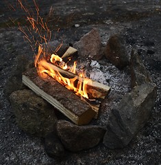 Image showing bonfire burning on a rocky shore