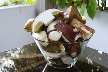 Image showing fresh boletus mushrooms in a glass bowl 