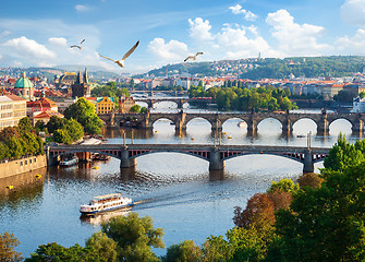 Image showing Row of bridges in Prague