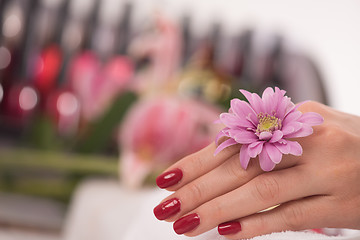 Image showing woman fingers with french manicure