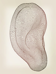 Image showing Ear digital model. 3d illustration. Vintage style
