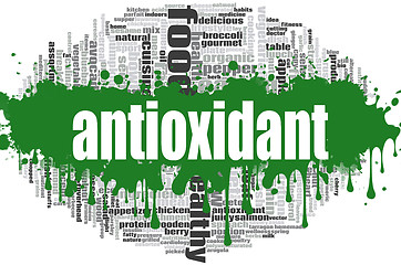 Image showing Antioxidant word cloud