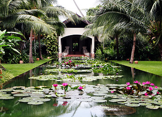 Image showing Water garden