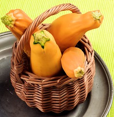 Image showing Fresh Yellow Zucchini