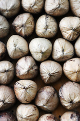 Image showing Coconuts