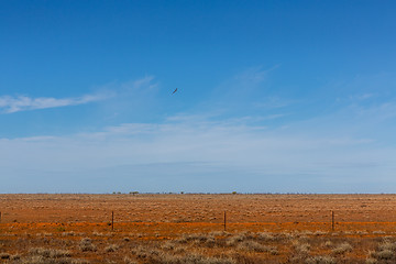 Image showing Australian desert outback 