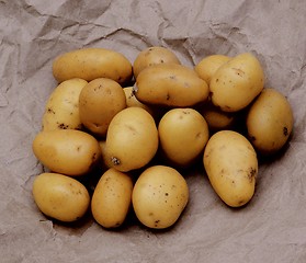 Image showing Yellow Finger Potatoes
