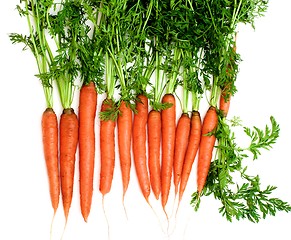 Image showing Raw Carrots with Stems