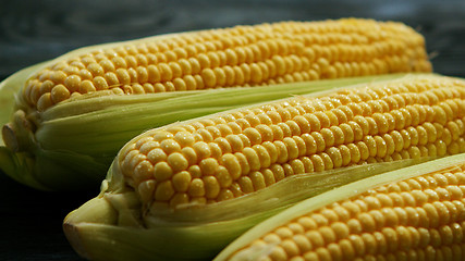 Image showing Ripe corn ears with leaves 