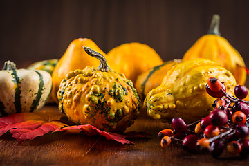 Image showing Thanksgiving and Halloween still life with pumpkins