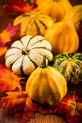 Image showing Thanksgiving and Halloween still life with pumpkins