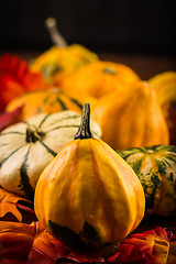 Image showing Thanksgiving and Halloween still life with pumpkins