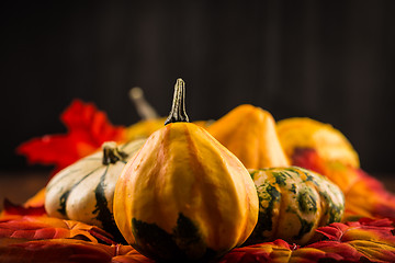 Image showing Thanksgiving and Halloween still life with pumpkins