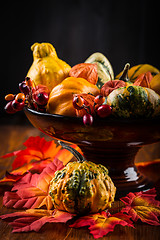 Image showing Thanksgiving and Halloween still life with pumpkins