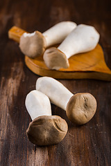 Image showing King oyster mushroom