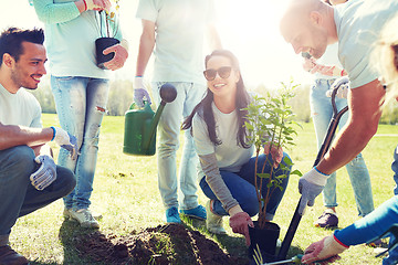 Image showing group of volunteers planting tree in park