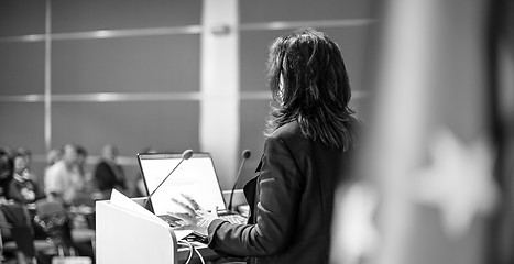 Image showing Public speaker giving talk at Business Event.