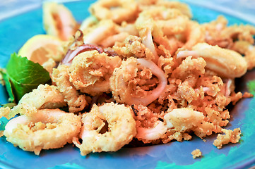 Image showing Calamari