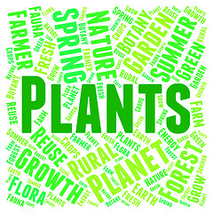 Image showing Plants Word Indicates Flora Text And Botanical