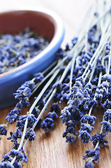 Image showing Dried lavender